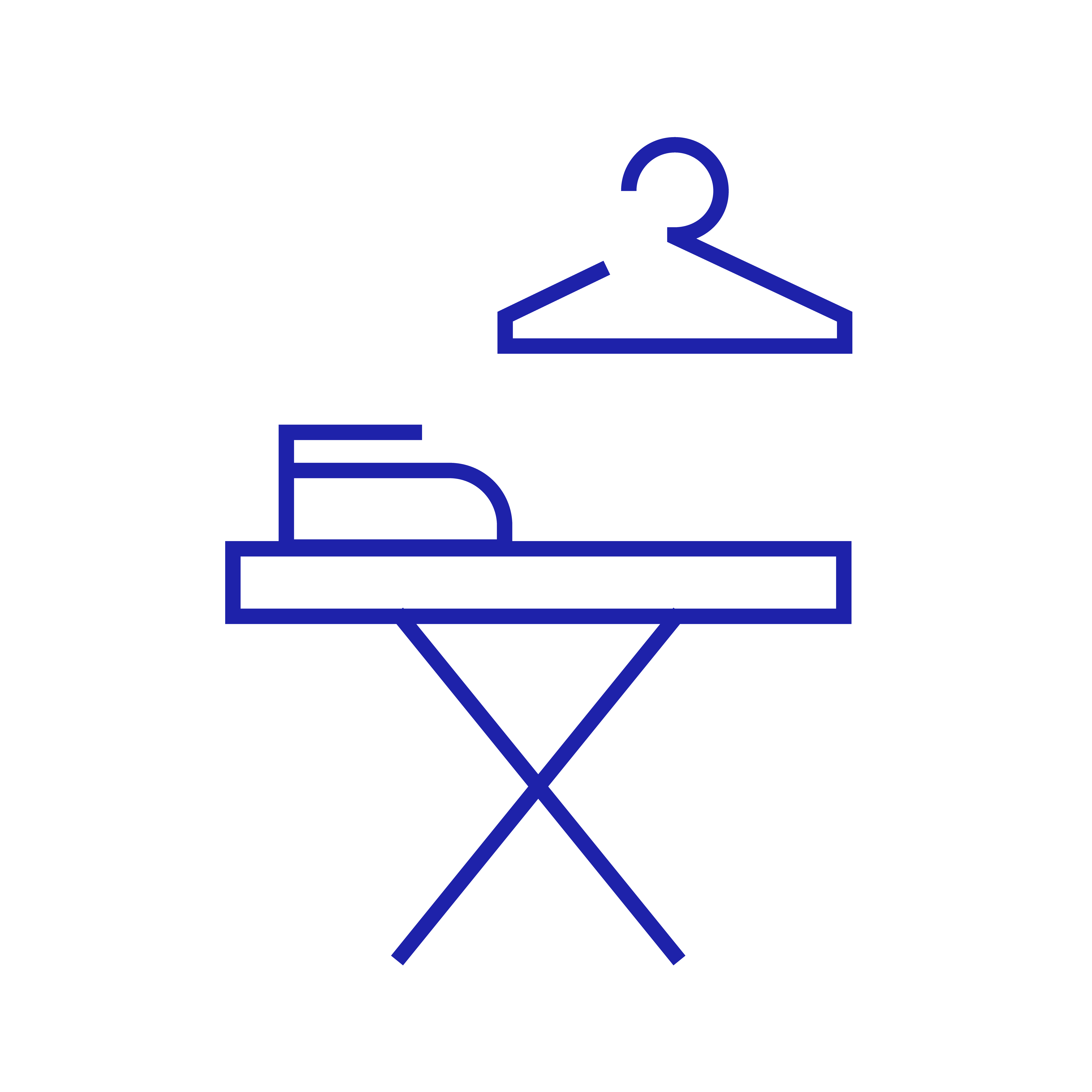 Dry cleaning / ironing